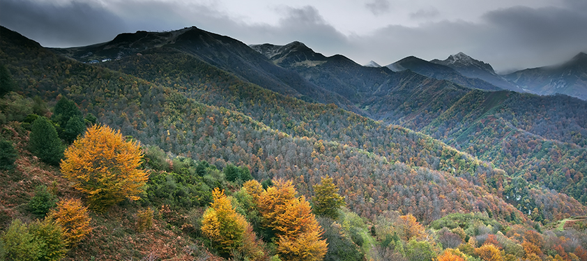 Paisaje de la comarca Montaña Central, Asturias